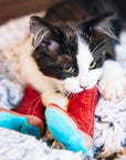 Meowdy Partner - Boot Cat Toy with Catnip