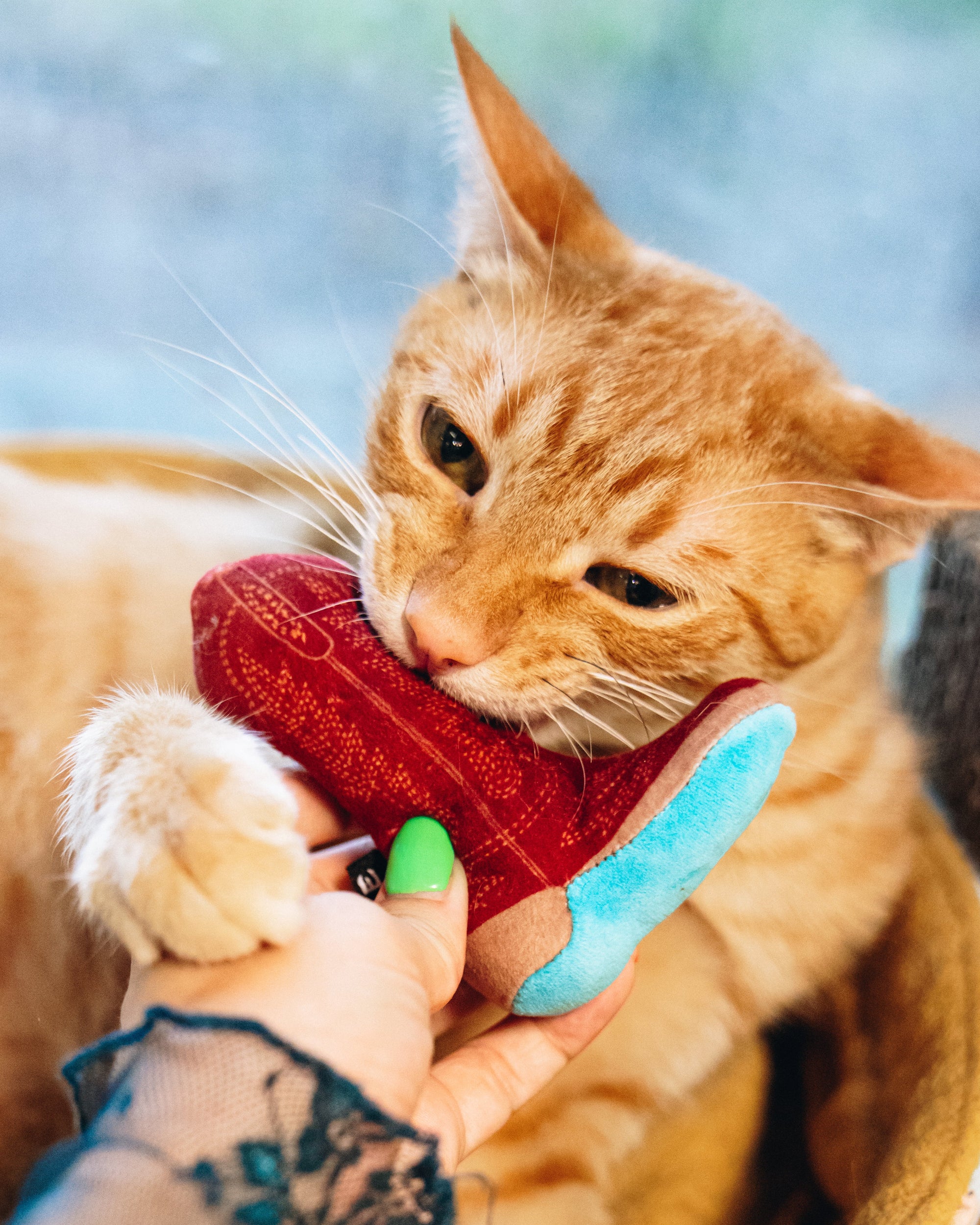 Meowdy Partner - Boot Cat Toy with Catnip