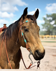 Colorado Gold 5/8" Skirting Reins